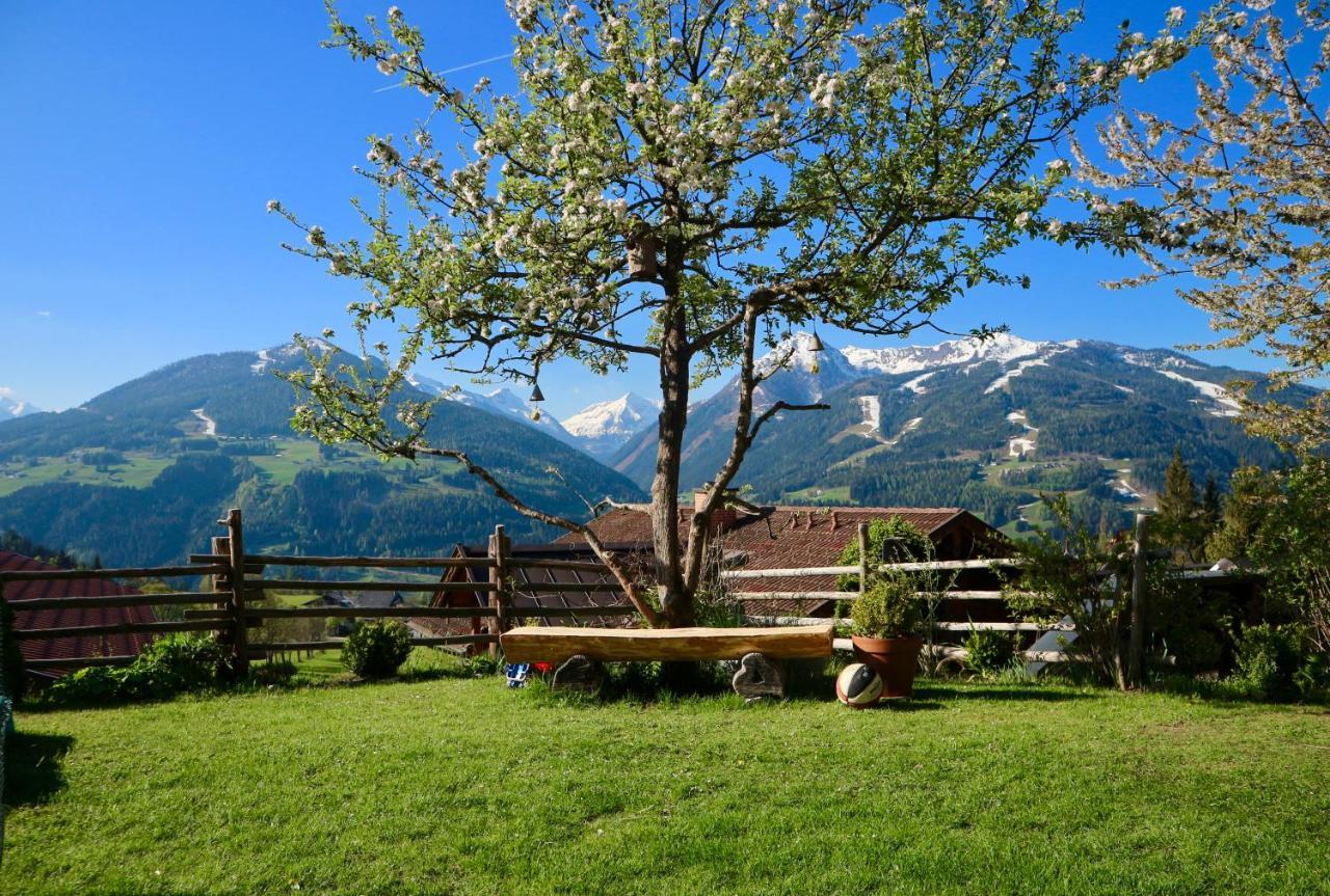 Appartements Rettensteiner Schladming Kültér fotó